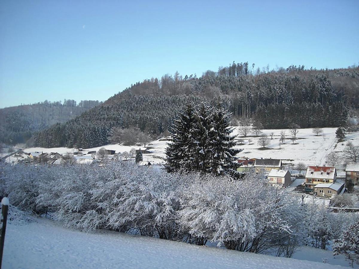Cosy Holiday Home With Garden In Walscheid 외부 사진